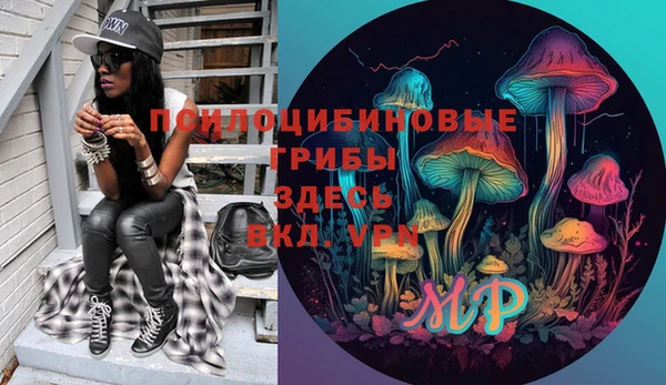 спайс Алзамай