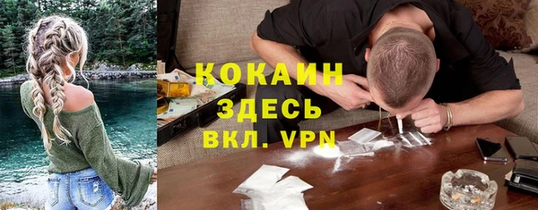 спайс Алзамай