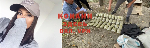 apvp Надым