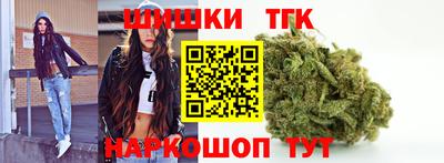 крисы Моздок