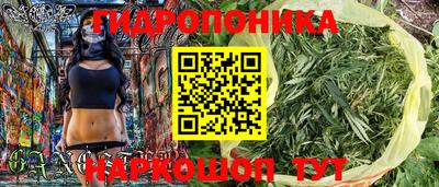 крисы Моздок
