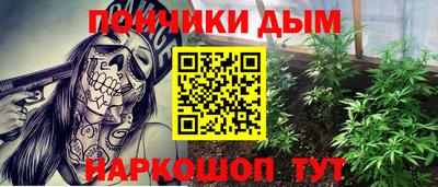 крисы Моздок