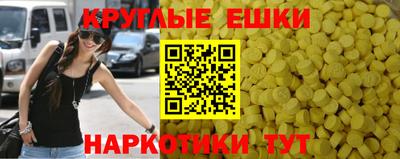 крисы Моздок