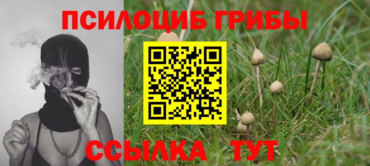 Галлюциногенные грибы GOLDEN TEACHER Ступино